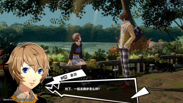 Persona 5 Royal [Nintendo Switch, английская версия] в Самаре