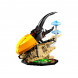 Конструктор LEGO Ideas 21342 Коллекция насекомых в Самаре