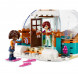 Конструктор LEGO Friends 41760 Праздничное приключение в иглу в Самаре