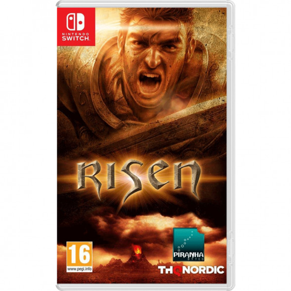Игра Risen [Nintendo Switch, русская версия] в Самаре