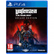 Игра Wolfenstein Youngblood Deluxe Edition [PS4, русская версия] в Самаре
