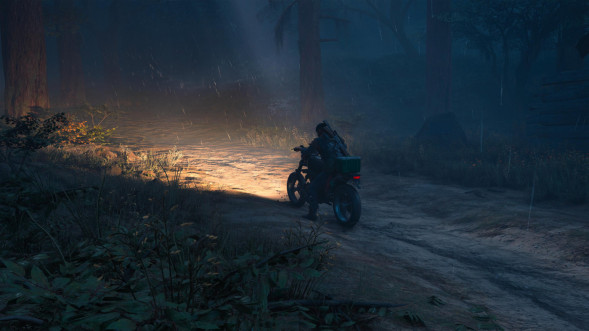 Игра Жизнь После (Days Gone) [PS4, русская версия] в Самаре